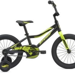 Giant Animator C/B 16 2019