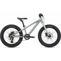 Giant STP 20" Kid's Disc Bike 2021