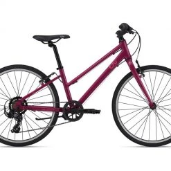 Giant Alight 24 2021