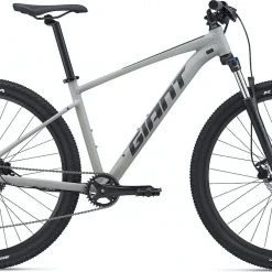 Giant Talon 2-GU M Concrete 2022