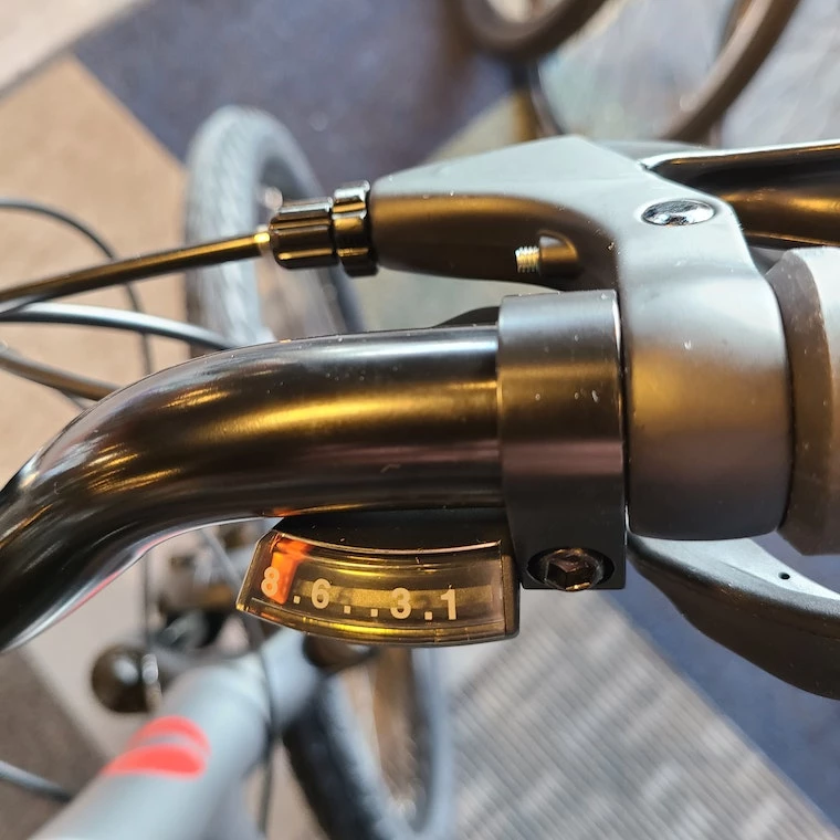 We Ship! Giant Cypress DX 19 We Ship! Giant Cypress DX - Image 17