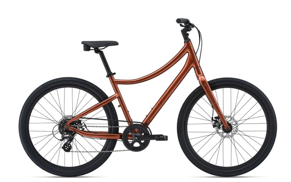 Giant Momentum Vida - Copper 2022 3 Giant Momentum Vida - Copper 2022