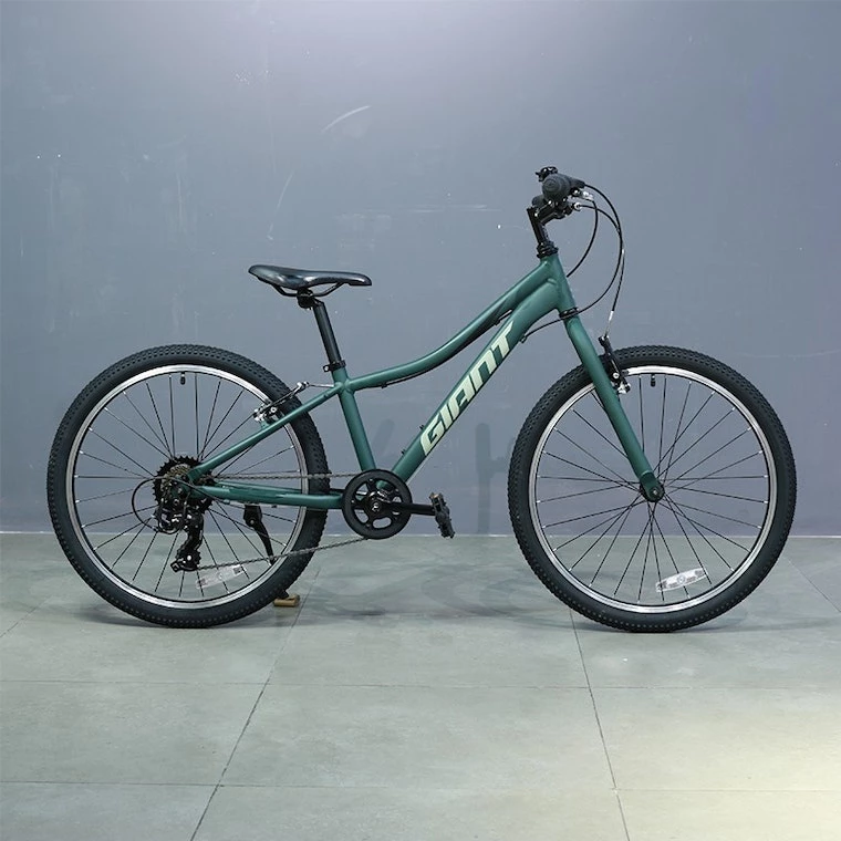Giant We Ship! XtC Jr 24 Lite Trekking Green 2021 17 Giant We Ship! XtC Jr 24 Lite Trekking Green 2021 - Image 15