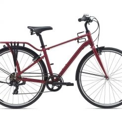 Giant Momentum iNeed Street 2021