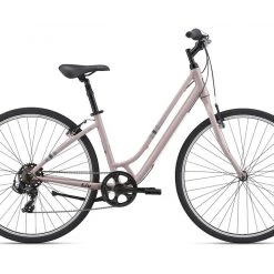 Giant Flourish 4 S Pale Mauve 2022