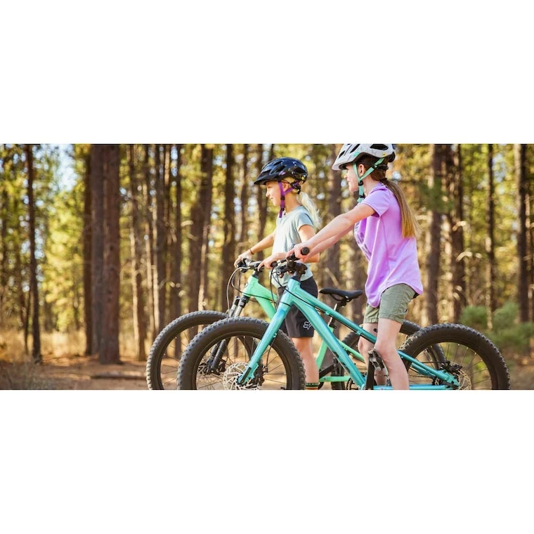 Giant Liv STP 20" Girl's Disc Bike 5 Giant Liv STP 20" Girl's Disc Bike - Image 3