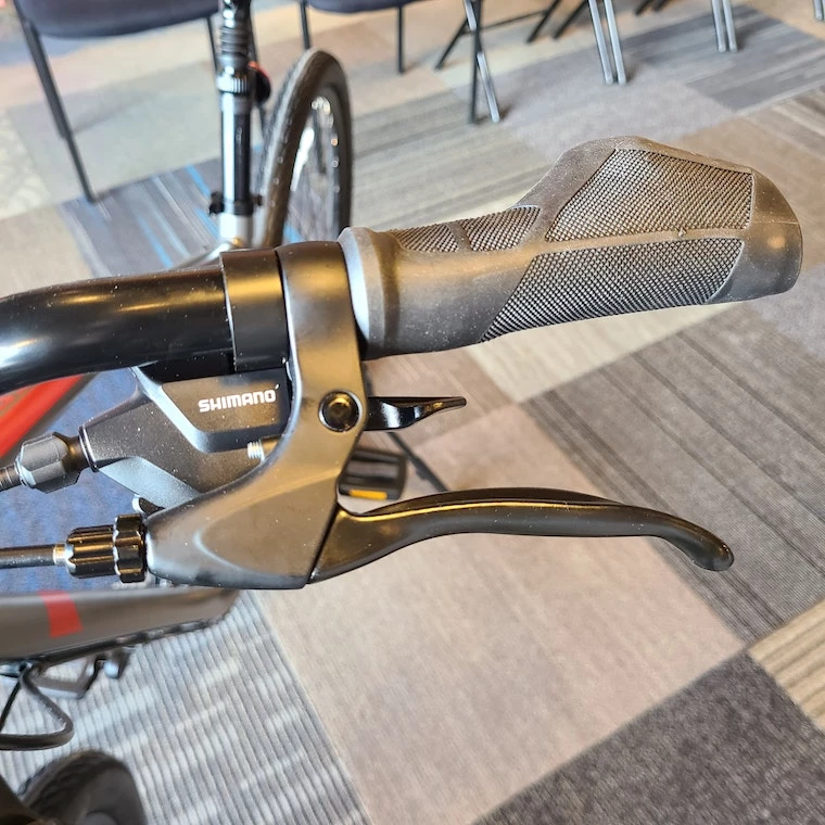 We Ship! Giant Cypress DX 4 We Ship! Giant Cypress DX - Image 2