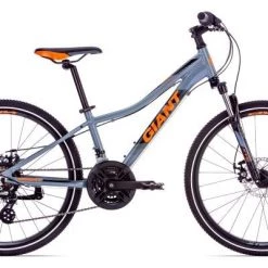 Giant XtC Jr 1 Disc 24 2019