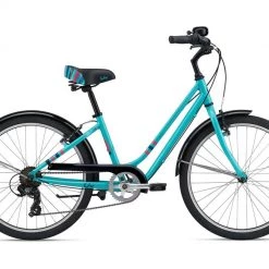 Giant Flourish 24 2021 5 Giant Flourish 24 2021 -Giant Sales Shop iPq4vA5seKFZoYEi05RCCLQ6Q 5