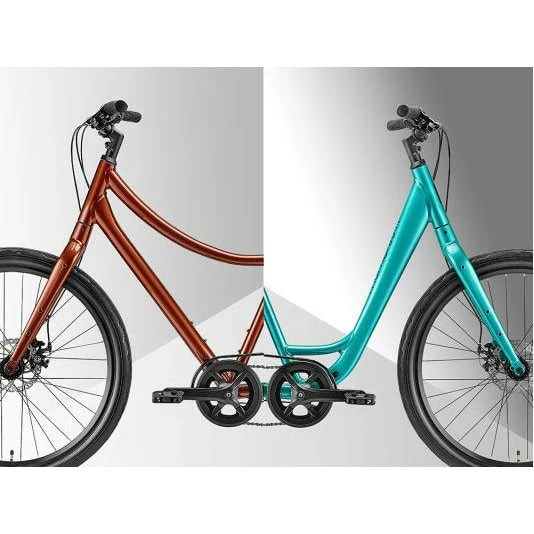 Giant Vida 2021 5 Giant Vida 2021 - Image 3