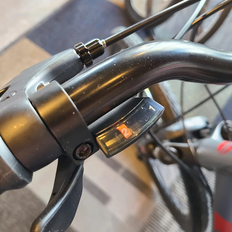 We Ship! Giant Cypress DX 5 We Ship! Giant Cypress DX - Image 3