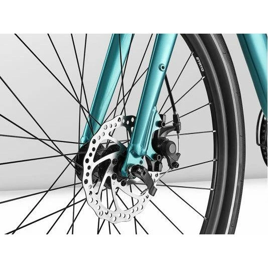 Giant Vida 2021 6 Giant Vida 2021 - Image 4