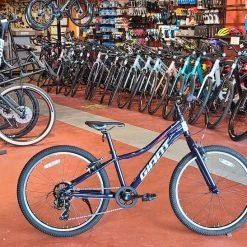 Giant We Ship! XtC Jr 24 Lite Eclipse 2022