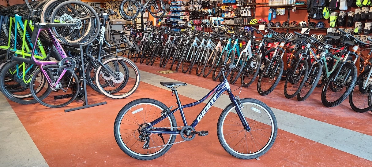 Giant We Ship! XtC Jr 24 Lite Eclipse 2022 3 Giant We Ship! XtC Jr 24 Lite Eclipse 2022