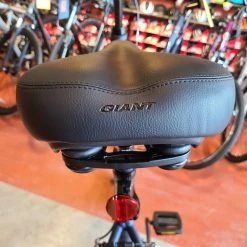 2021 Giant Cypress - Navy -Giant Sales Shop qw1GlEbhfOvwl7ALkHt7yGzFY