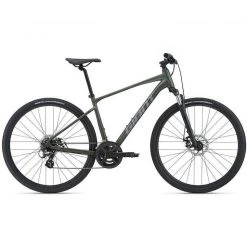 2021 Giant Roam 4 Disc GU Mountain Bike