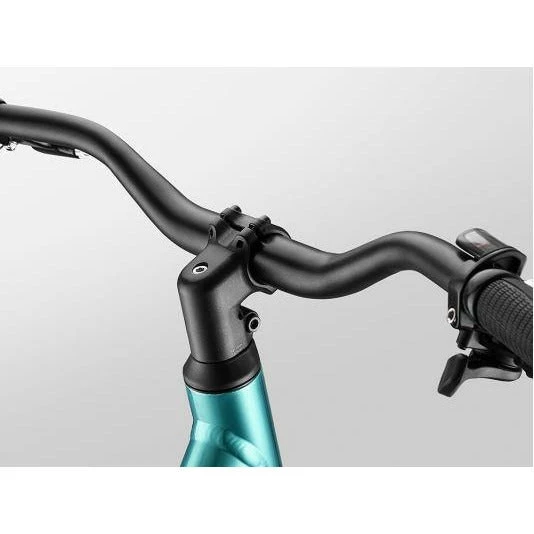 Giant Vida 2021 10 Giant Vida 2021 - Image 8