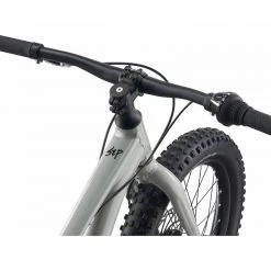 Giant STP 20" Kid's Disc Bike 2021 14 Giant STP 20" Kid's Disc Bike 2021 -Giant Sales Shop wxiMDlSXO7n9hkzuSQ2aXJAMY